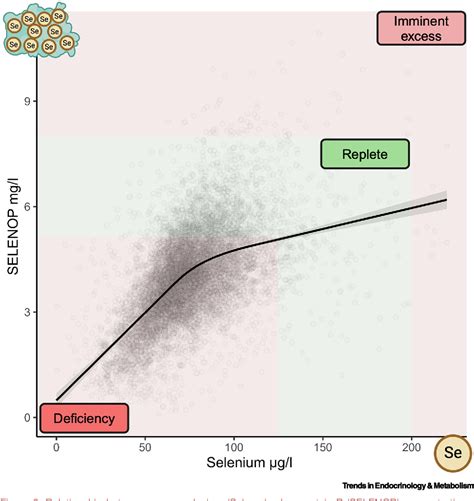 selenium sex video|Selenium, diabetes, and their intricate sex.